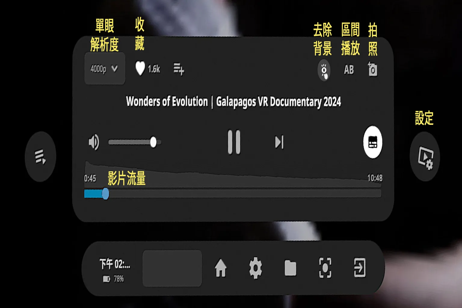 DEO VR 播放器设置选项详解