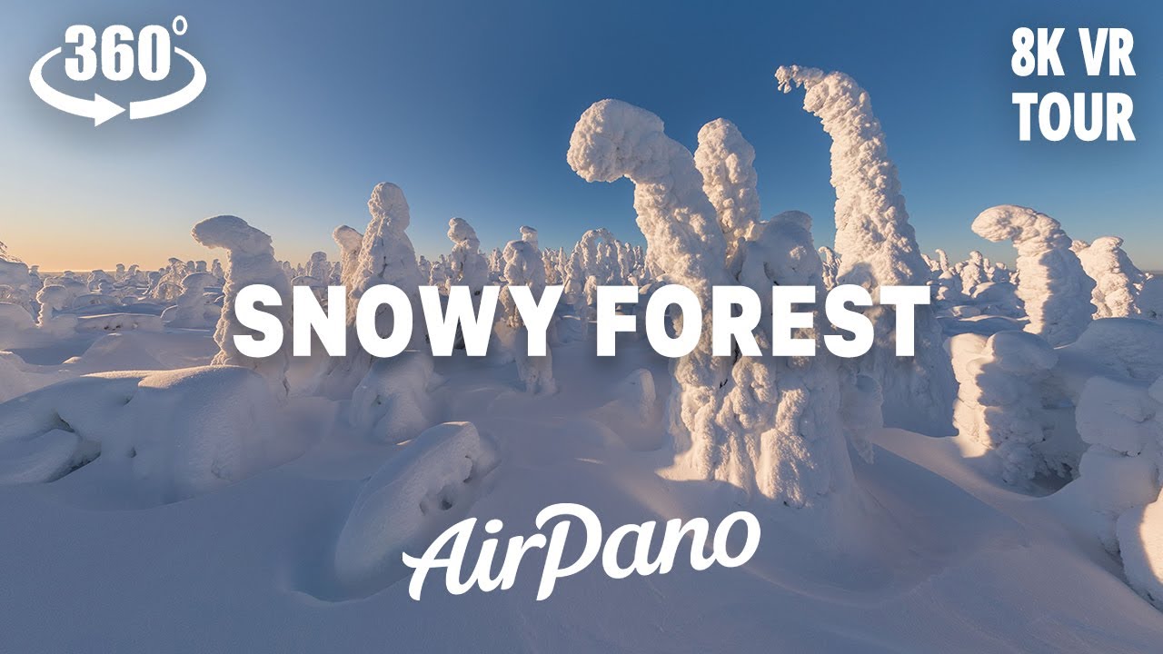 360° 虚拟漫游:冬日雪林秘境