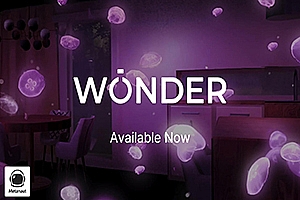 奇迹 Wonder (MR-Fix)
