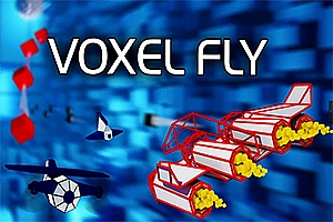 体素飞 Voxel Fly