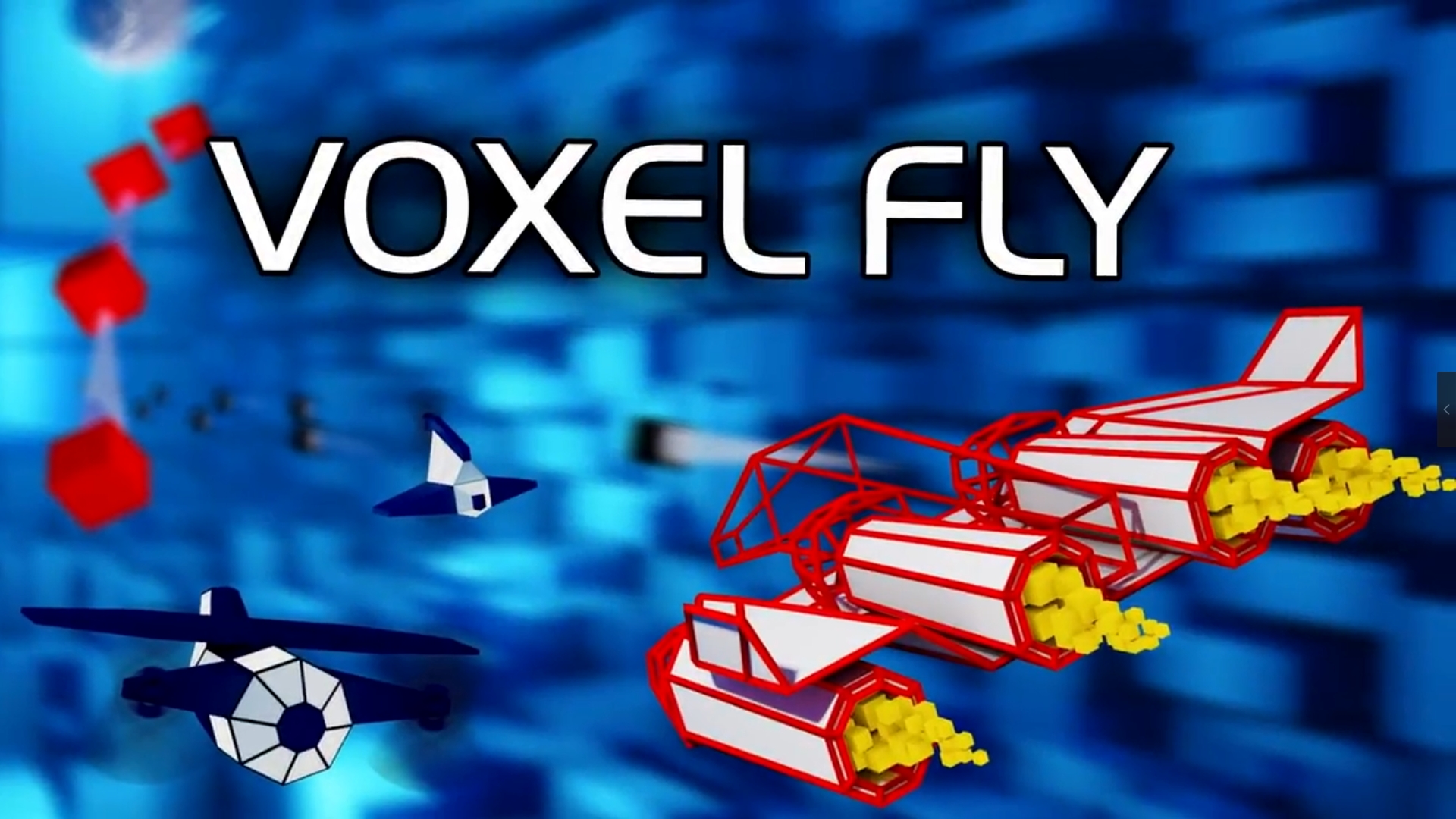 体素飞 Voxel Fly